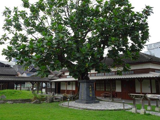 The Remains of East Coast Line Railway